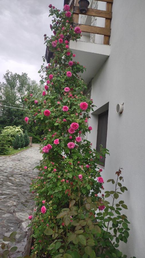 Pensiunea Codruta Carpinisu Экстерьер фото