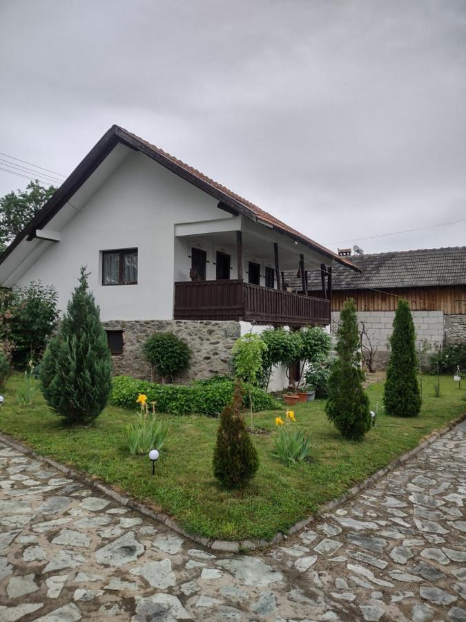 Pensiunea Codruta Carpinisu Экстерьер фото