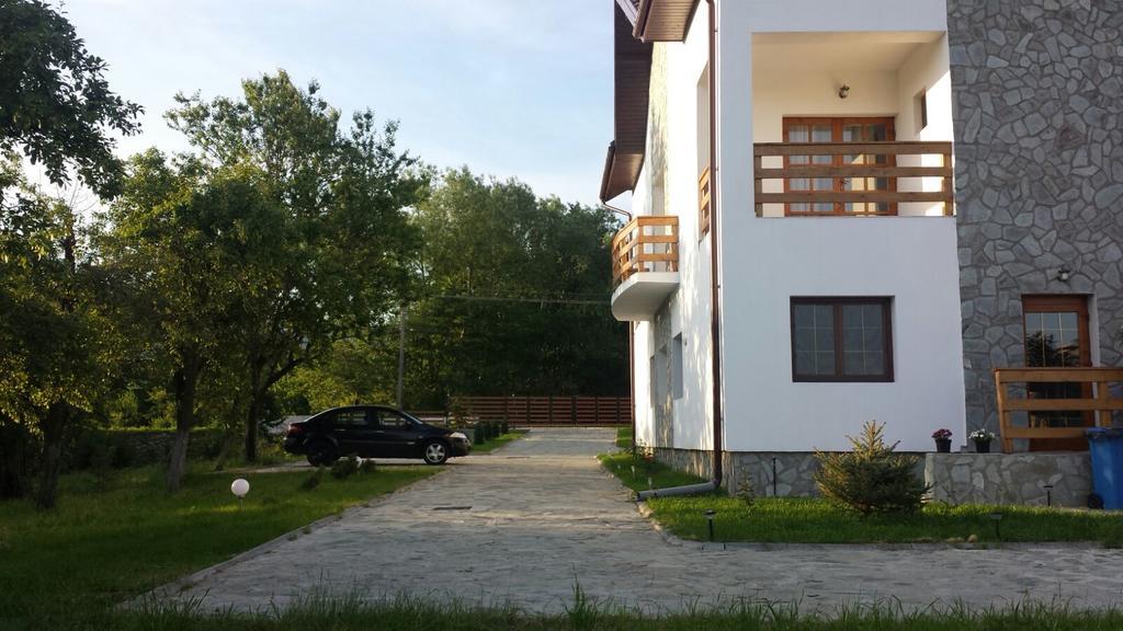 Pensiunea Codruta Carpinisu Экстерьер фото