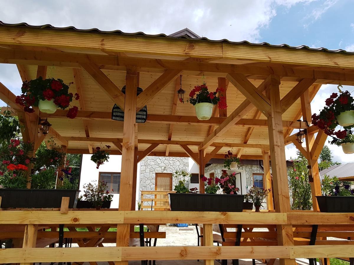 Pensiunea Codruta Carpinisu Экстерьер фото